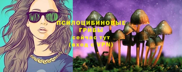 прущая мука Алексин